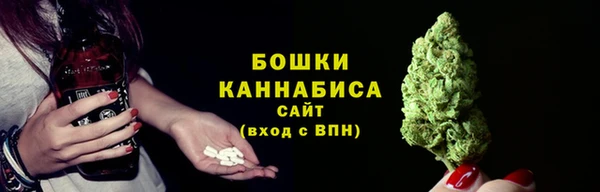 spice Мегион