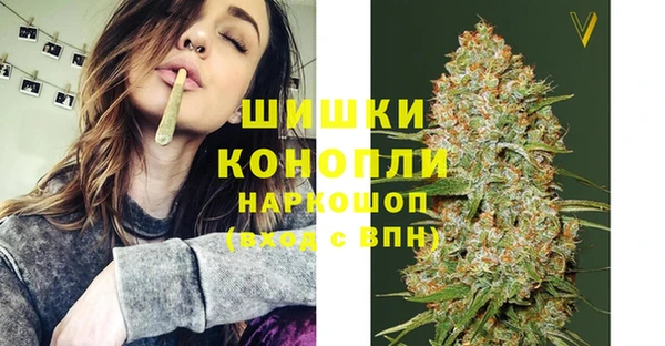 spice Мегион
