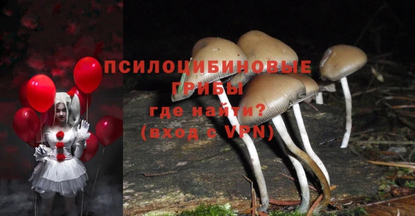 ALPHA-PVP Медногорск