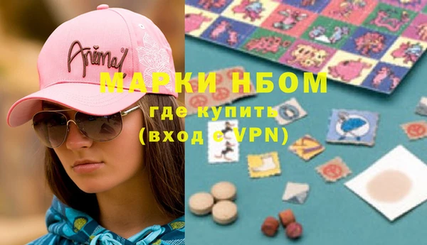 сатива Магас