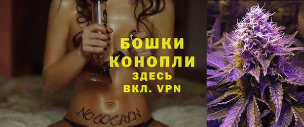 PSILOCYBIN Медвежьегорск