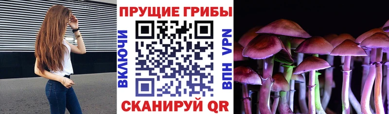 дарк нет формула  Нариманов  Галлюциногенные грибы мицелий 